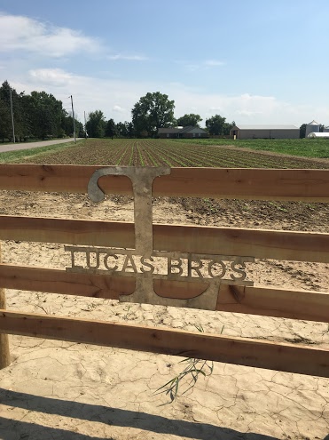 fence_logo
